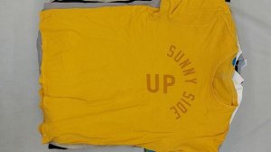 42411 Футболки мужские брендовые, 9пак, 28E, секонд (extra) оптом