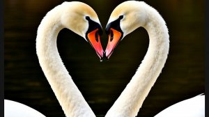 НАСТОЯЩАЯ ЛЮБОВЬ ВЕСНОЙ. Красивая музыка и мои прекрасные слова поднимают настроение. Песня о любви