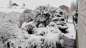 К НАМ ВЕРНУЛАСЬ ЗИМА В АПРЕЛЕ.10.04.26.ОБЗОР РАССАДЫ.