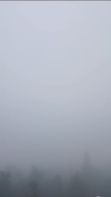 #туман#таганай#чернаяскала#челябинскаяобласть#вайбсумерек#russia#blackrock#fog#урал#россия#hike