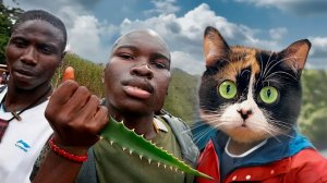 АФРИКАНЕЦ ПРИКИНУЛСЯ ДОБРЯКОМ, НО ПОТОМ ПОКАЗАЛ СВОЕ ИСТИННОЕ ЛИЦО