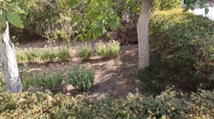 Один из дней города Евпатории | 13 сентября 2021 г | Крым ХАН БАТОН XAH 6ATOH | VID_20210913_145531