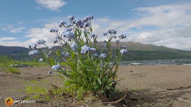 Рыбалка на плато Путорана