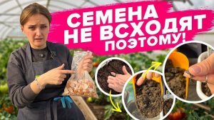 ОШИБКИ ПРИ ВЫРАЩИВАНИИ ИЗ СЕМЯН