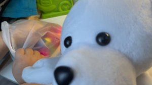 Весёлые игры с белым медведем