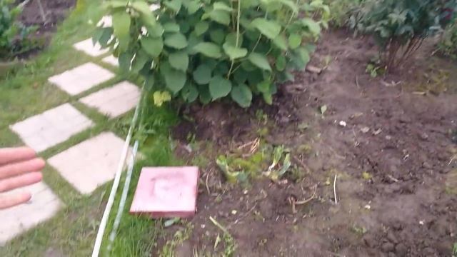 Видео привет с 6 соток 31 августа 2021 года