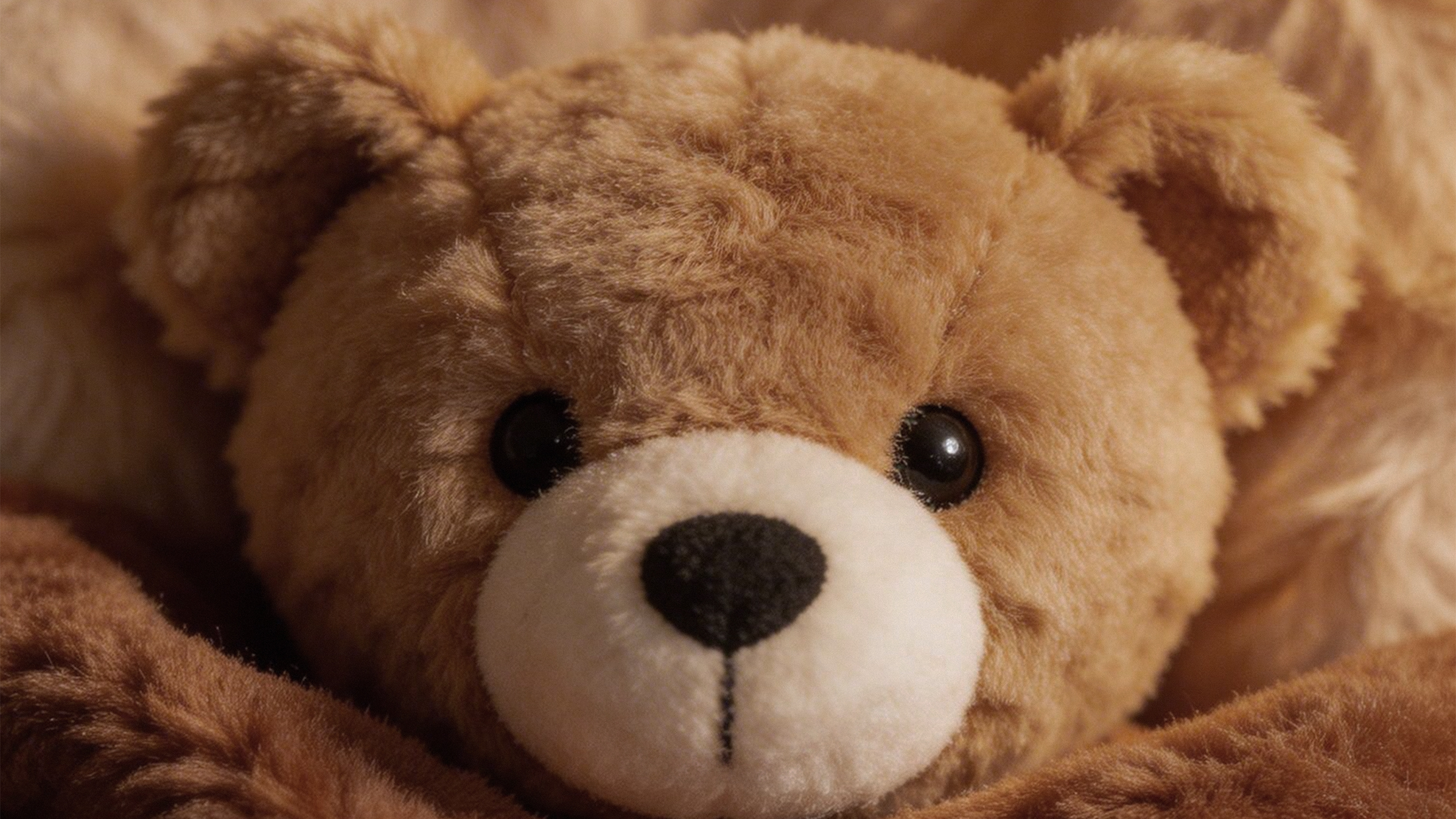 прогулка в парк