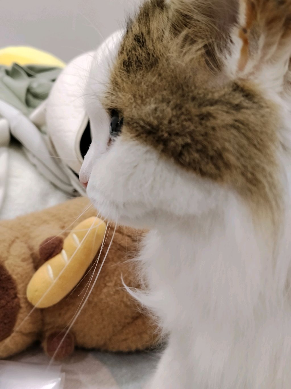 обзор по моему дому