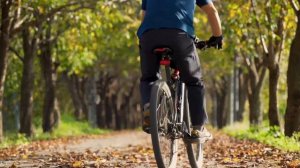 10 способов сжечь 200 ккал в обычной жизни (без тренировок и диет)