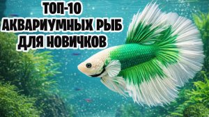 ТОП 10 РЫБОК ДЛЯ НАЧИНАЮЩИХ АКВАРИУМИСТОВ