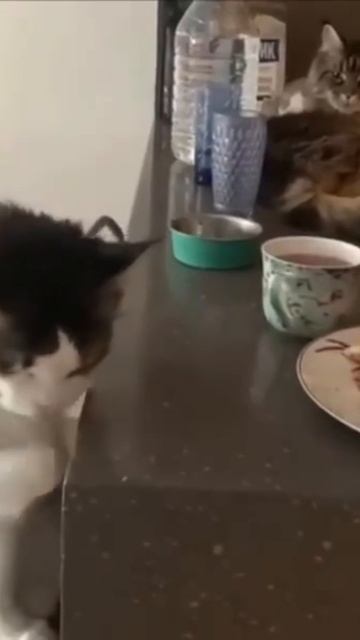 Дай мне курочку, кусочек, я попробую разочек.