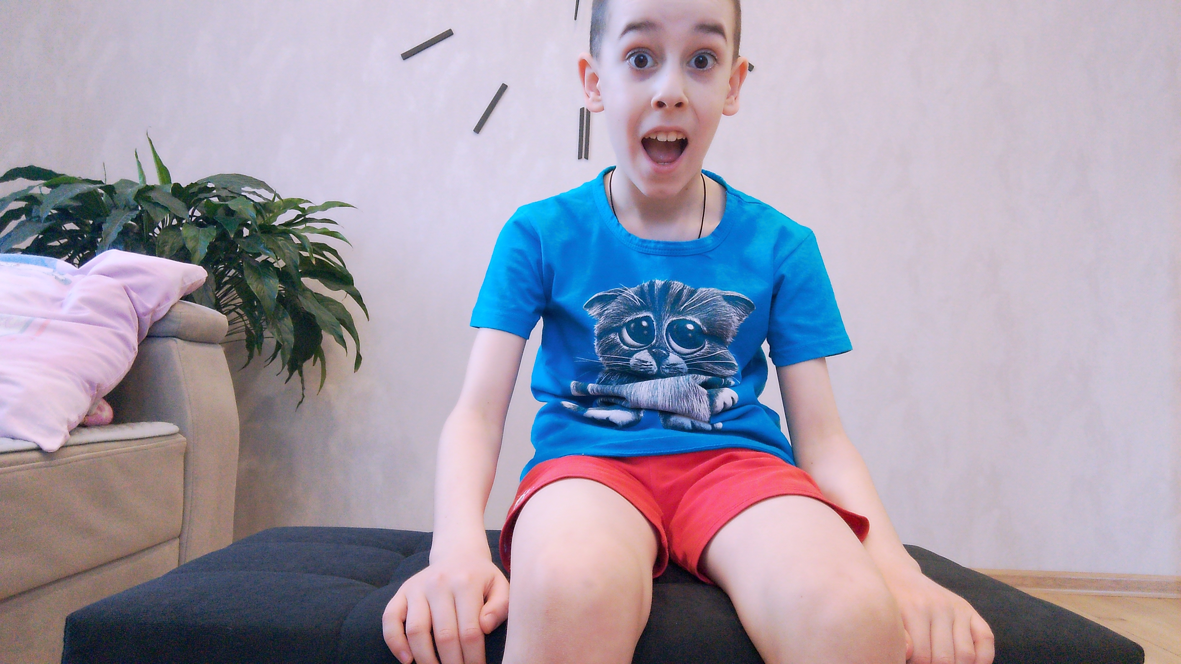 СОБИРАЮ ПУФ!