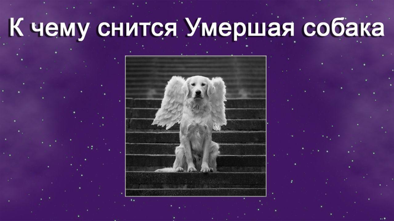 К чему снится Умершая собака - толкование сна