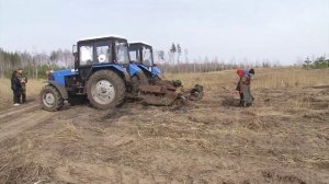 В Воронежской области начались работы по посадке леса