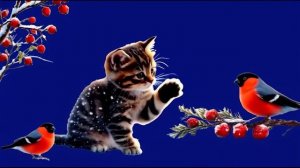 Игривый котенок_encoded