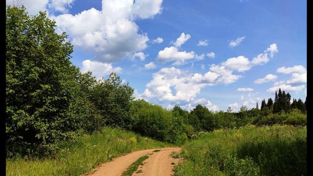 И. Бунин. И цветы, и шмели, и трава, и колосья...