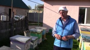 Закладка личинок на матки, стартер ,воспиталка. На пасеке Булдакова А.К.