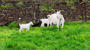 80/ХОТИТЕ в ТИШЬ и ГЛУШЬ - ВАМ СЮДА ! СТАНИЦА АНДРЕЕВСКАЯ ! ПУТЬ в ОДИН КОНЕЦ ! НАСТОЯЩАЯ ДЕРЕВНЯ