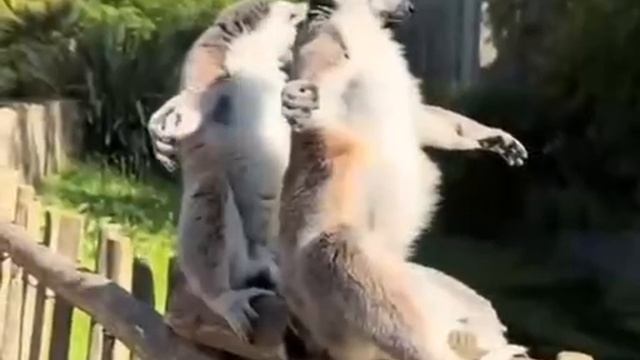 Солнечные ванны