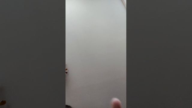 10-04-2026 2 часть