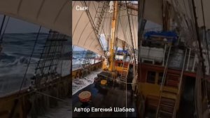 Сын. Автор Евгений Шабаев