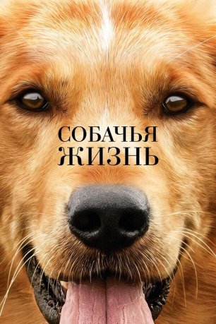 Собачья жизнь (фильм 2017) / A Dog's Purpose
