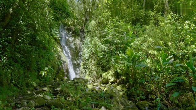 Даже не задумывайтесь....