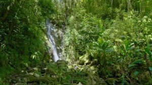 Даже не задумывайтесь....