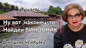 1 часть. Ну вот ,наконец-то❗️Найден виновник❗️