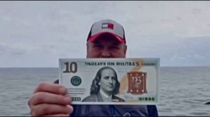 Страна Лимония (cover)