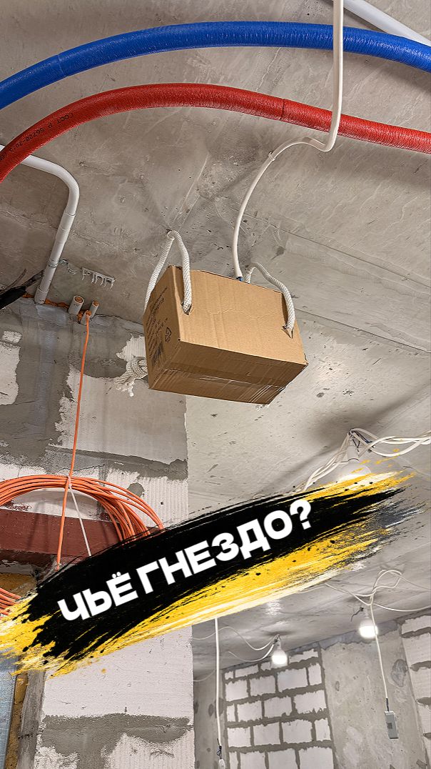 Гнездо для роутера 🐾