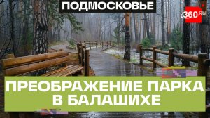 71 гектар добра: благоустройство лесопарка в Ольгине. Обновления и инфраструктура