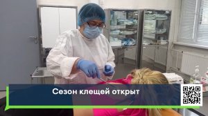 Сезон клещей открыт