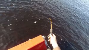 ПОПАЛИ НА БЕШЕННЫЙ КЛЁВ ОКУНЕЙ!!! РЫБАЛКА НА СЕВЕРЕ