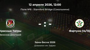 Дивизион им. Баджо. Красные тигры - Фартуна 14-15. Детская лига CityFootball