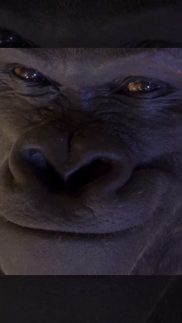 Новая серфинг доска 🥹