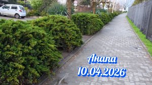 Анапа 10.04.2026