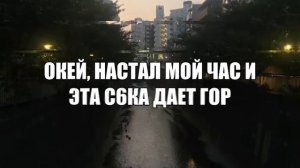 Поставь лайк если не жалко ❤️