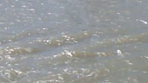 DSCN8622 Апрель 2026 Набережная возле парка Невинномысск