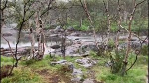 Пятница #Twilightmusicproject #music #progressive #experimental #accessvirus