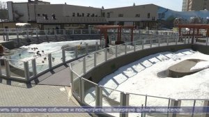 10.04.2026 Сахалин сегодня