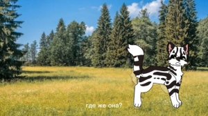 Опять видео сью! Делайте реакцию 🗿