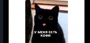 моя коллекция