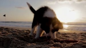 Больше никогда не покупайте батарейки типа АА ! Используйте магнит и наблюдайте, что произойдет.