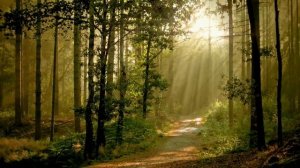 Милая моя - Владимир Мещеряков(песня Ю.Визбора)