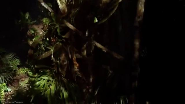 Гриша - О тебе