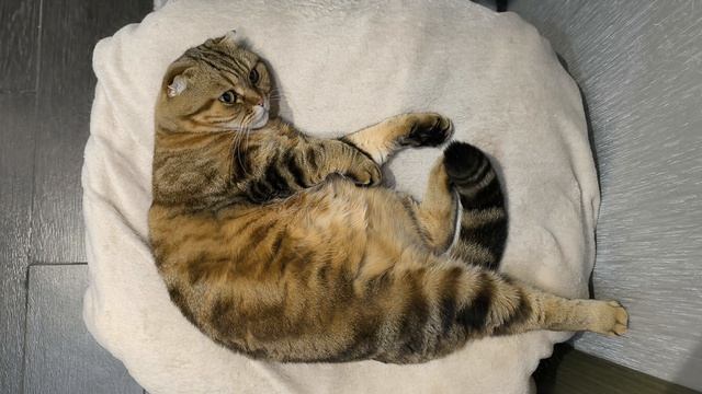 кто всю ночь не спал? и мне спать не давал🤨