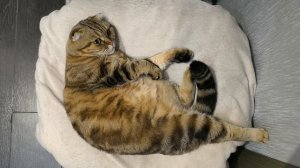 кто всю ночь не спал? и мне спать не давал🤨