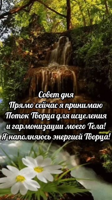 Совет дня.#светдуши #Анохина #путьвнутреннейопоры