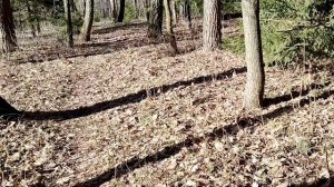 Какой должна быть весна